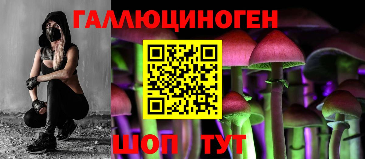 Псилоцибиновые грибы прущие грибы  как найти закладки  Спасск-Дальний  Вход с VPN 